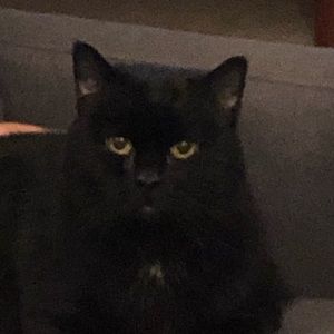 Meet your Posher, Kim